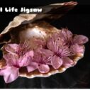 still life jigsaw